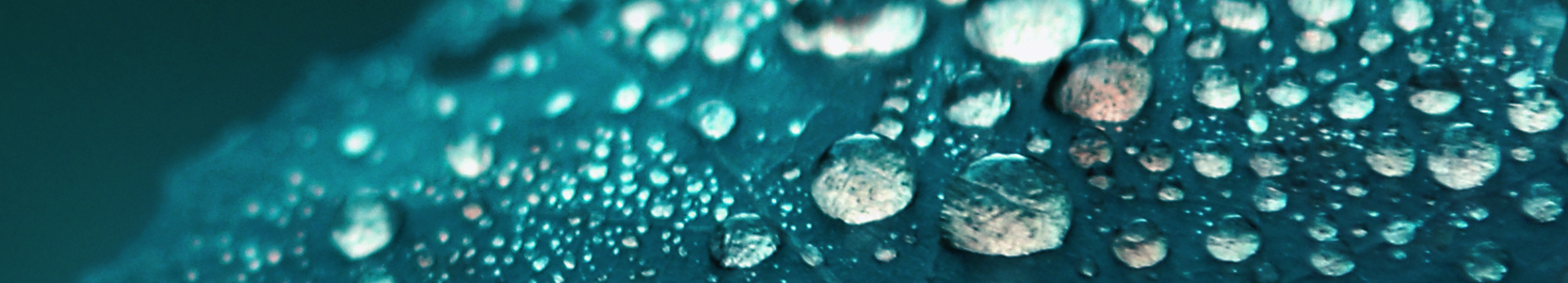 Barrow Hanley Global Share Fund - Class S (Hedged)